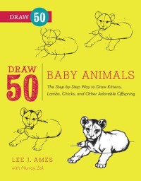 Cover Draw 50 Baby Animals