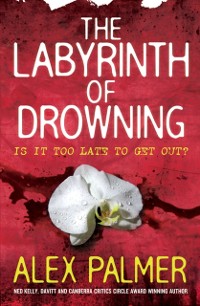 Cover Labyrinth of Drowning