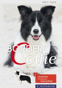 Cover Border Collie