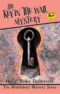 Cover The Key in the Wall Mystery