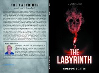 Cover The Labyrinth