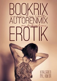 Cover BookRix Autoren-Mix Erotik II