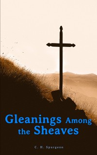 Cover Gleanings Among the Sheaves