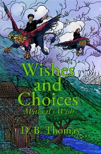 Cover Wishes and Choices