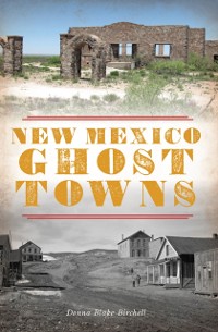 Cover New Mexico Ghost Towns