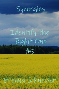 Cover Identify the Right One