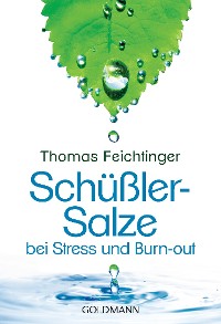 Cover Schüßler-Salze bei Stress und Burn-out