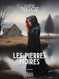 Cover Les pierres noires