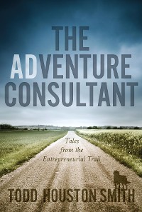 Cover The Adventure Consultant