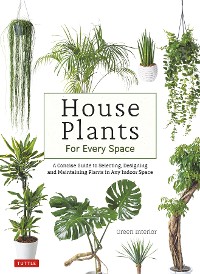 Cover House Plants for Every Space