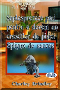 Cover Șaptesprezece Pași Pentru A Deveni Un Crescător De Pisici Sphynx De Succes