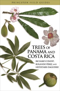 Cover Trees of Panama and Costa Rica
