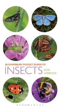 Cover Pocket Guide to Insects