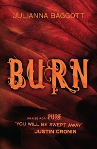 Cover Burn