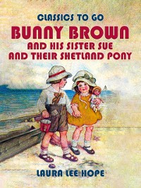 Cover Bunny Brown And His Sister Sue And Their Shetland Pony