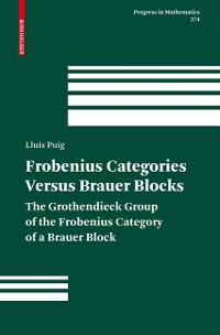 Cover Frobenius Categories versus Brauer Blocks
