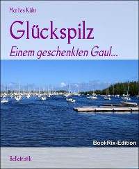 Cover Glückspilz