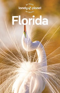 Cover Travel Guide Florida
