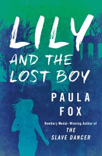 Cover Lily and the Lost Boy