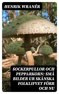 Cover Sockerpullor och Pepparkorn: Små bilder ur skånska folklifvet förr och nu