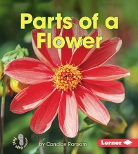 Cover Parts of a Flower