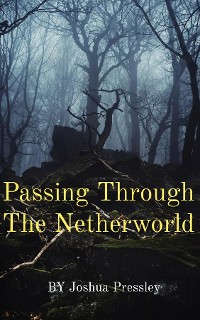 Cover Passing Through The Netherworld