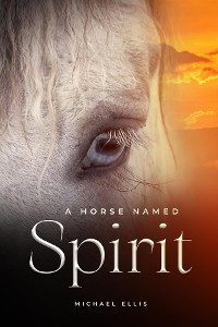 Cover A Horse Named Spirit