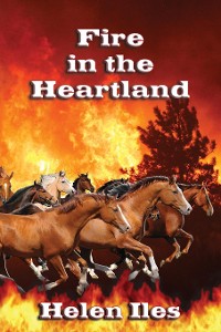 Cover Fire in the Heartland