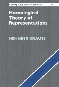 Cover Homological Theory of Representations