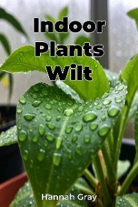 Cover Indoor Plants Wilt