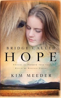 Cover Bridge Called Hope