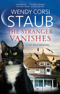 Cover The Stranger Vanishes