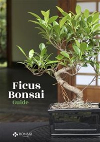 Cover Ficus Bonsai Guide