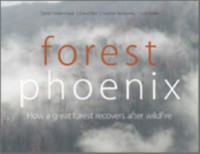 Cover Forest Phoenix