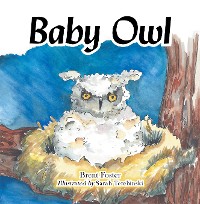 Cover Baby Owl