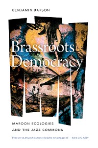 Cover Brassroots Democracy