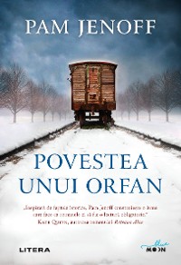 Cover Povestea Unui Orfan