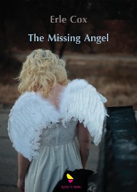 Cover The missing angel