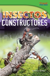 Cover Insectos constructores