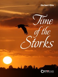 Cover Time of the Storks