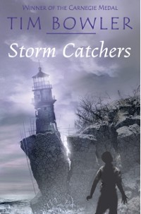 Cover Storm Catchers