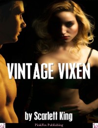 Cover Vintage Vixen: A MILF Erotica