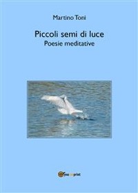 Cover Piccoli semi di luce - Poesie meditative