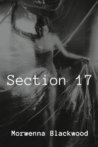 Cover Section 17