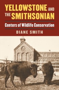 Cover Yellowstone and the Smithsonian