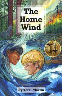 Cover The Home Wind