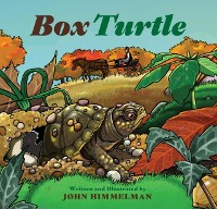 Cover Box Turtle
