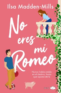 Cover No eres mi Romeo