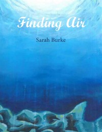 Cover Finding Air