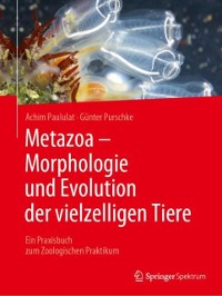 Cover Metazoa - Morphologie und Evolution der vielzelligen Tiere